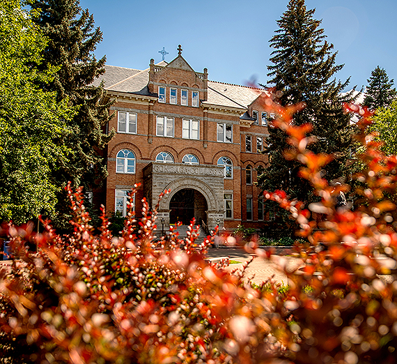 A Sea Change in Academic Leadership