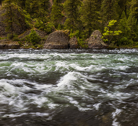 Environmental and Climate Law Clinic Returns to Gonzaga Law School