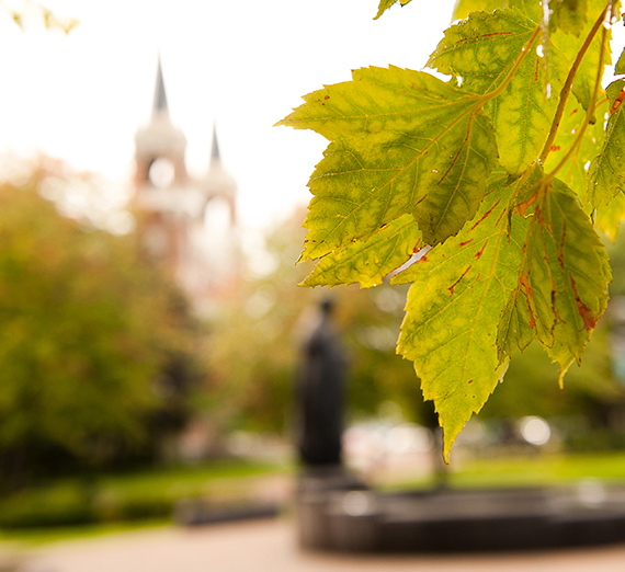 Sustainable Investing - Offer Your Voice