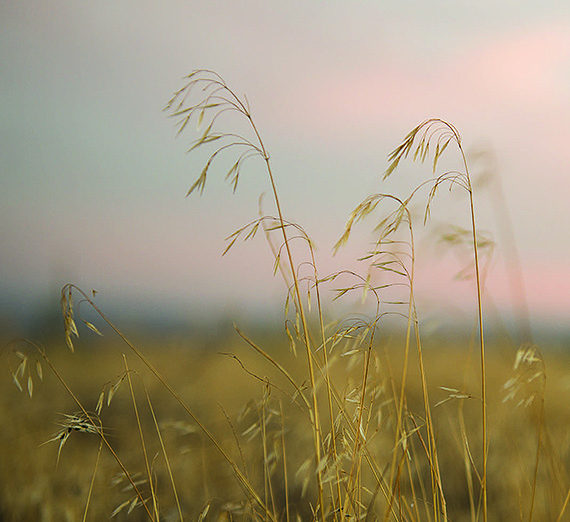 Rethinking Native American Education
