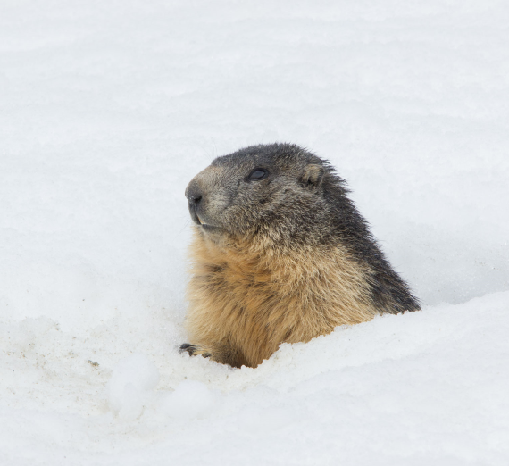 Our Favorite Winter Activities