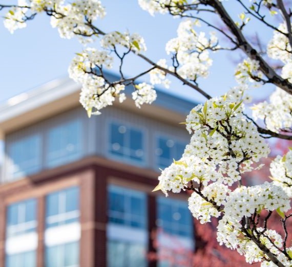 Spring in Spokane: Gonzaga Admissions' Top Picks