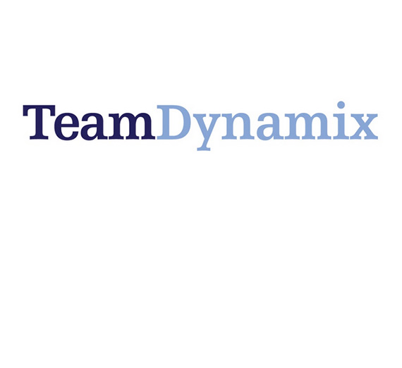 The Team Dynamix Implementation