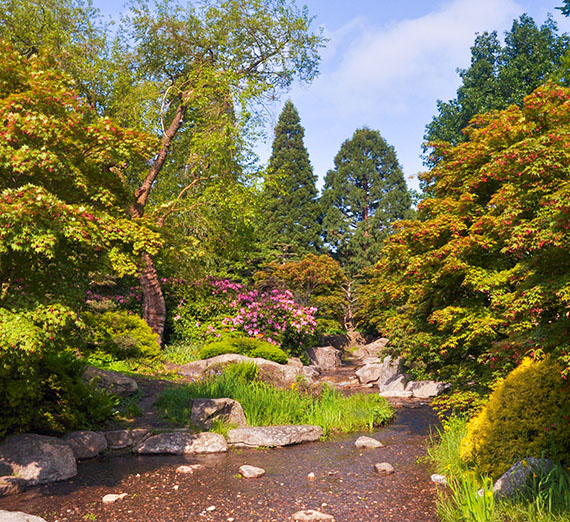 Gonzaga in Berlin: Hamburg's Planten un Blomen