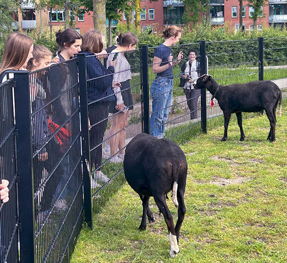 Delft: Going Green in The Hague
