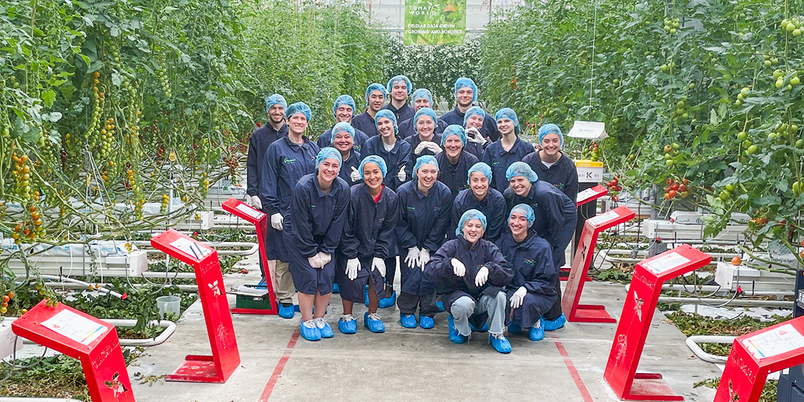 Delft: Touring Tomatoworld