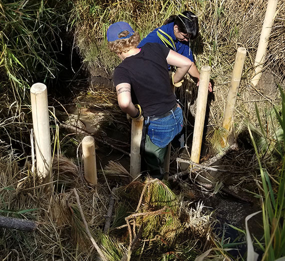 In the News: Gonzaga students install Beaver Dam Analogs to reduce phosphorous in Newman Lake