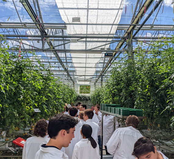 GU in Delft Adventures in Tomatoworld