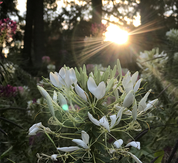 Standing in Solidarity: A Response to the Pittsburgh Massacre