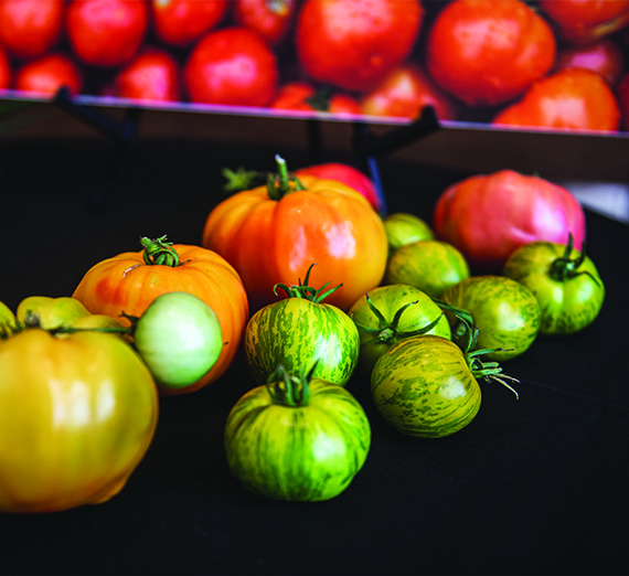 Starting Sustainably