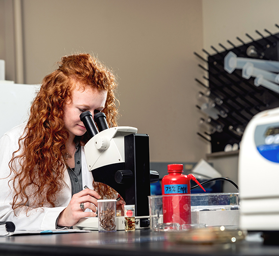 Liberal Arts 101: You Don't Have to be Liberal (or Artsy) to Study the Liberal Arts