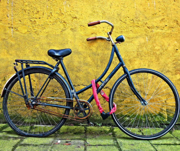 The Joy of Biking