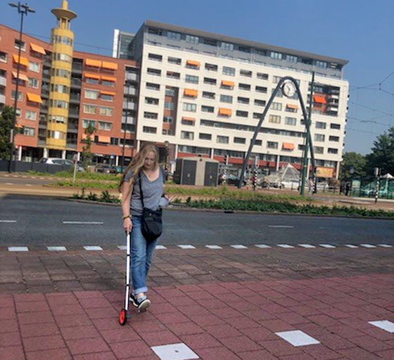 Rihjswijk's Carbon-Neutral Neighborhoods