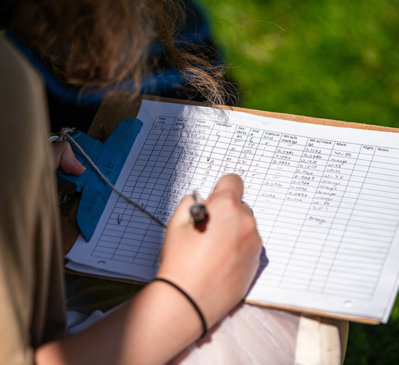 Seeking Solutions Through Research