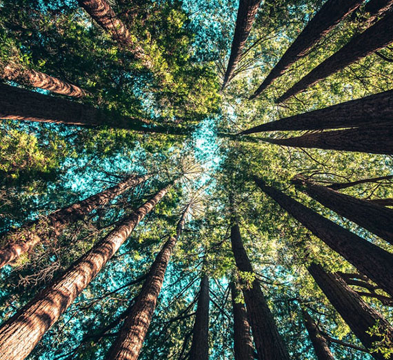 AG Ferguson Rolls Out Environmental Justice Initiative in Honor of Earth Day