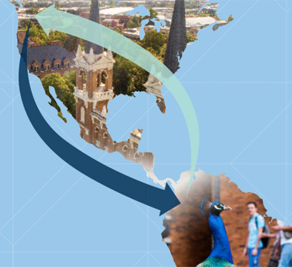 Coming and Going: For Innovation and Immersion