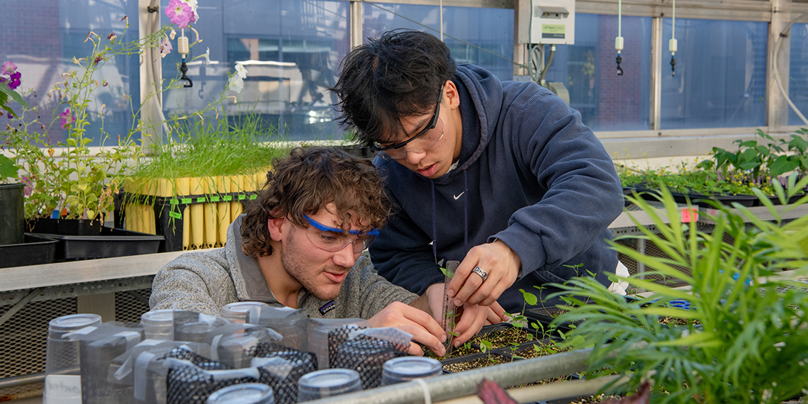 Cultivating Growth in Science and Students