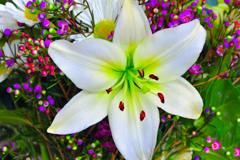 An Easter Journey to the Gift of New Life