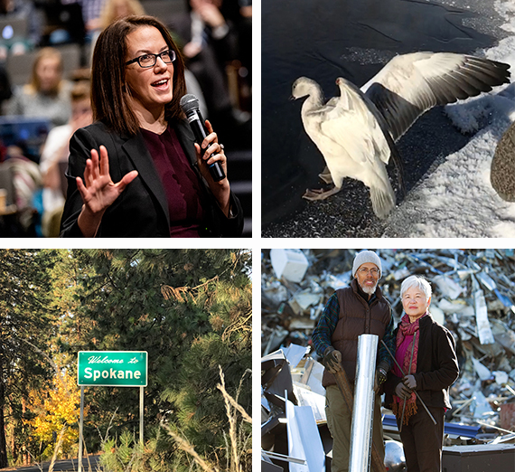 Sustainability Efforts in News & Stories