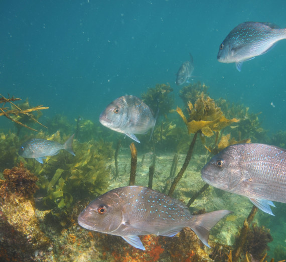 Exploring Historical Ecosystems Through Innovative Techniques