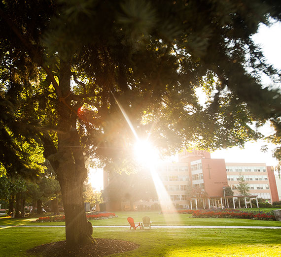 Striving to Move from Burnout to Wellness