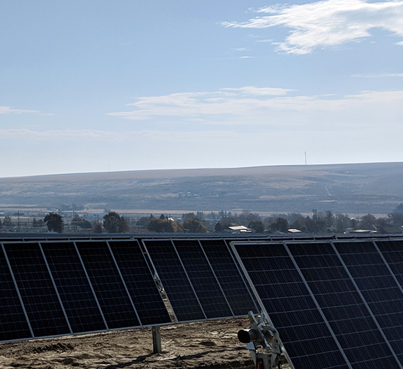 Harvesting the Sun (And Other Green Energy Sources)