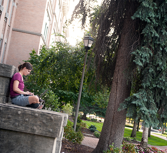 What is a Liberal Arts Education?