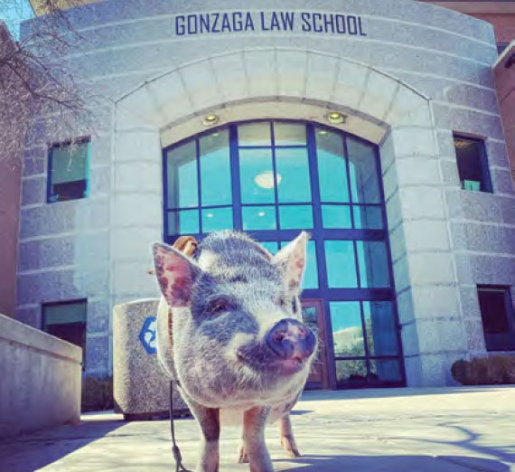 Health and Wellness: Affirming Students' Goodness