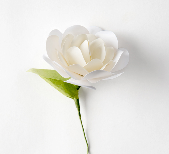 Found: Faith and Fullness