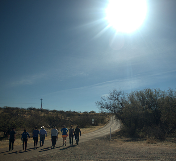 Lingering Lessons from the Sonoran Desert