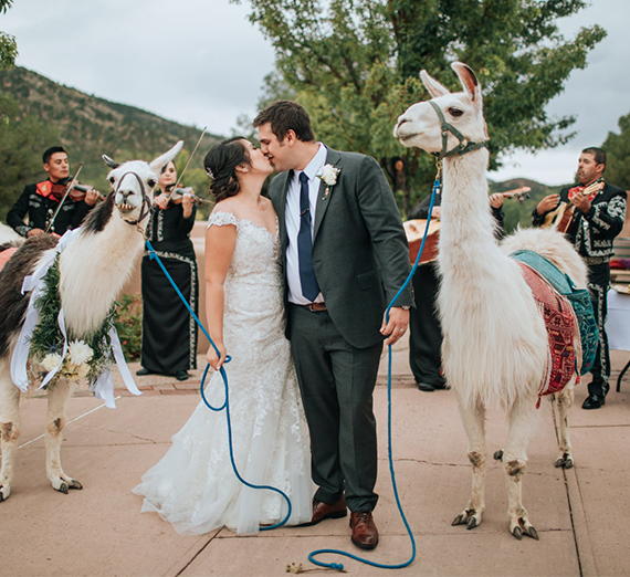 Zombie Nation & Llamas at Zag Weddings