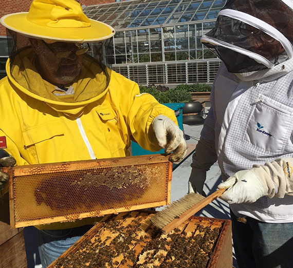 Gonzaga Becomes a Certified ‘Bee Campus USA’