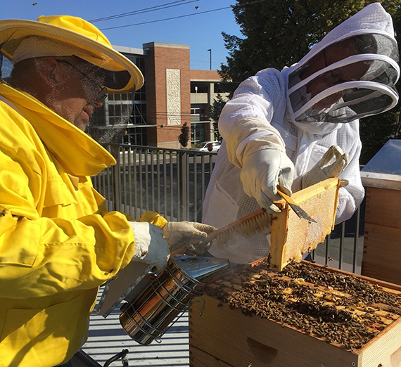 Gonzaga’s Bee Campus USA Certification Renewed