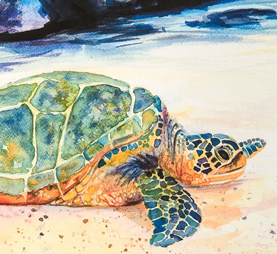 Getting Honu Home: A Tale of a Green Sea Turtle
