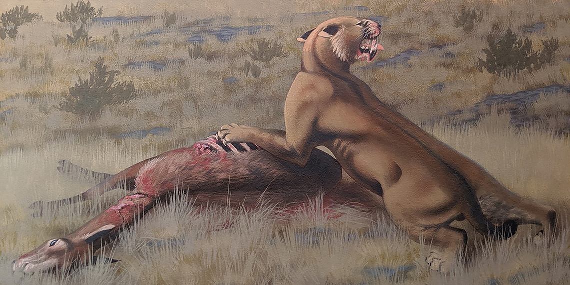 Professor Orcutt Helps Identify Giant Saber-Tooth Cat