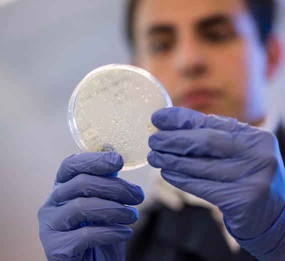 Gonzaga to Join Major National Science Education Effort