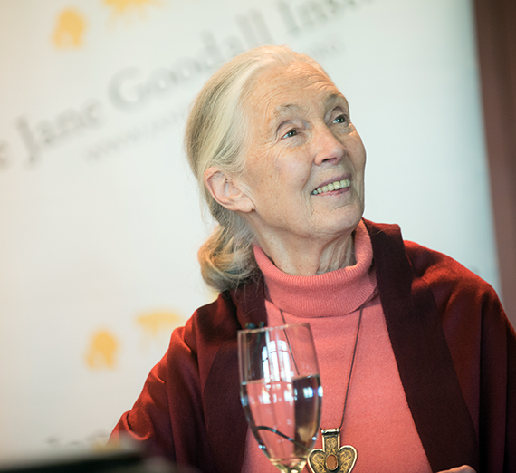 Dr. Jane Goodall Wows GU with Tales of Life's Work
