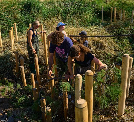 In The News: Gonzaga Students Get Busy Replicating Beaver Habitat